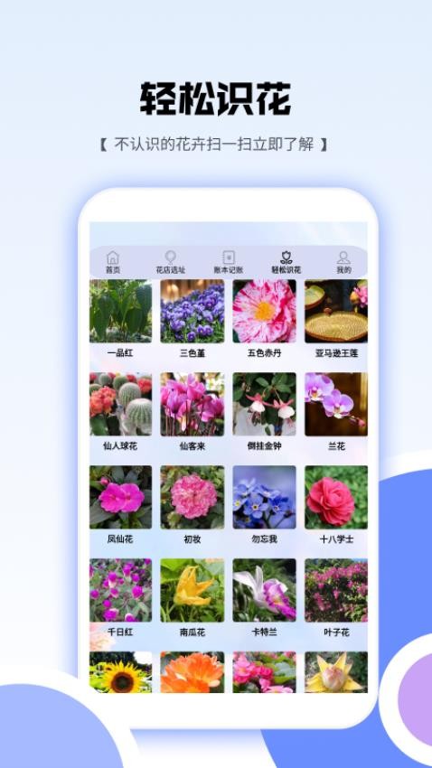 花朵爱消消