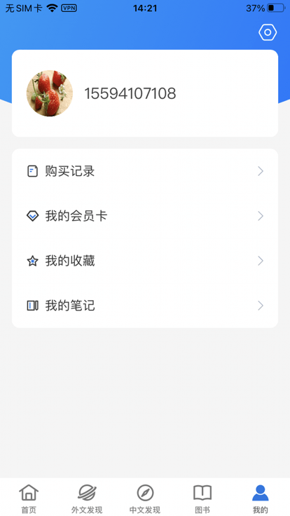 临港智图