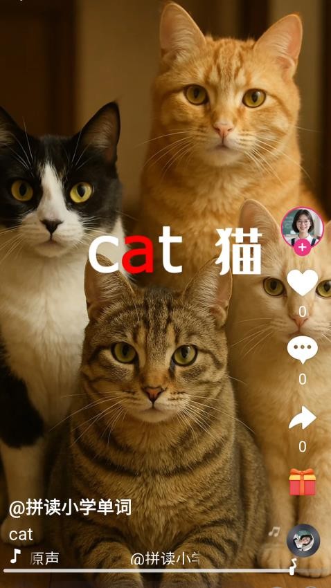 刷单词