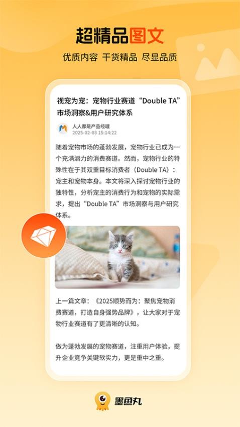 墨鱼丸
