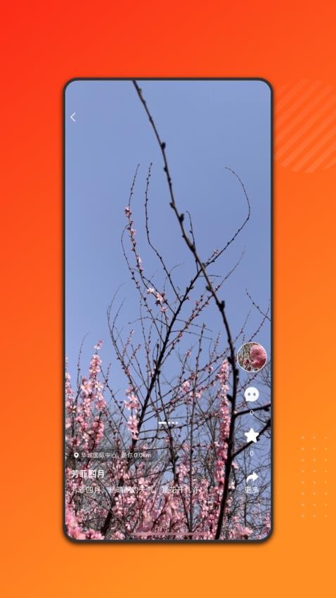 实体秀