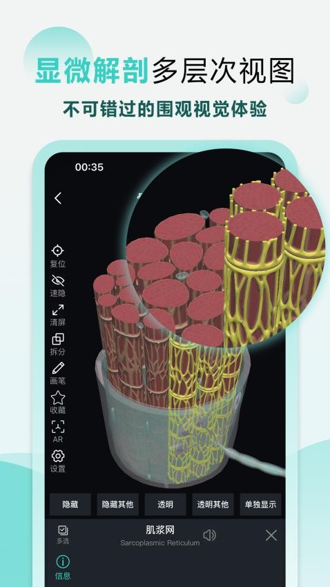 掌上3d解剖