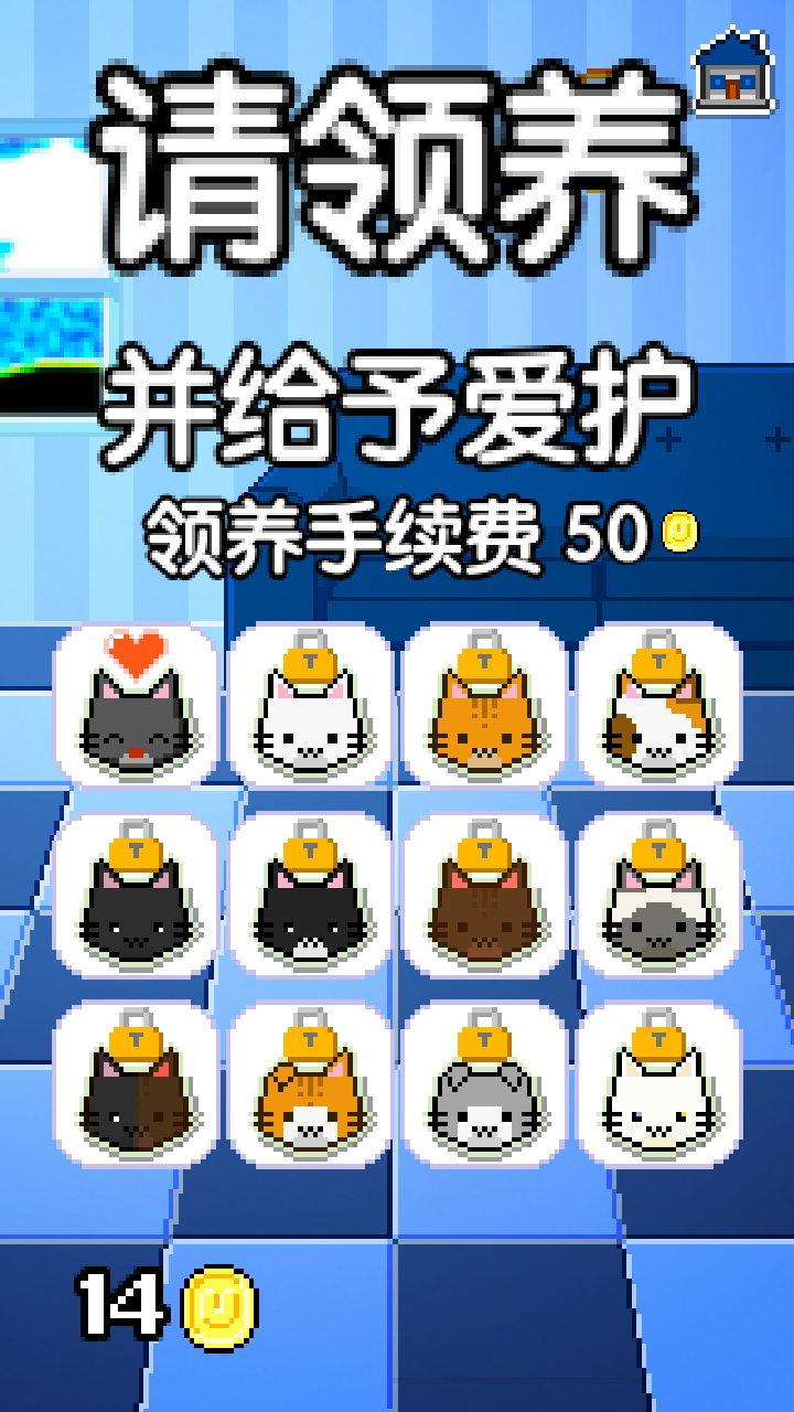 我家猫咪很任性