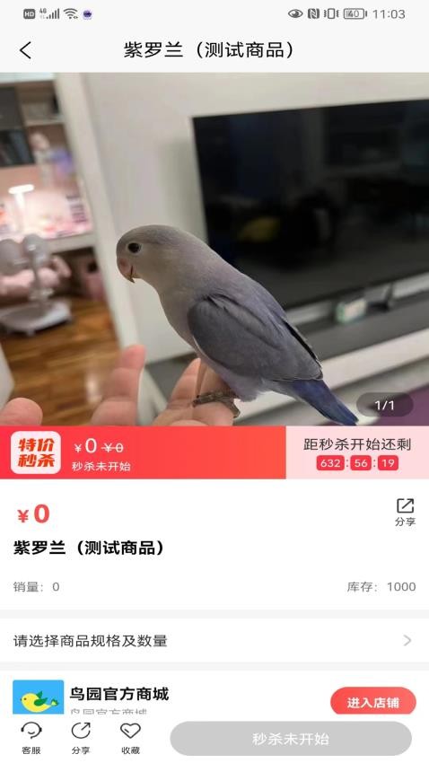 鸟园