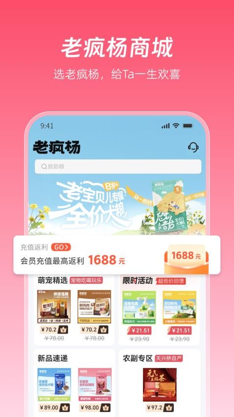 老疯杨