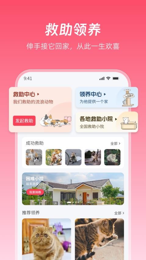 老疯杨