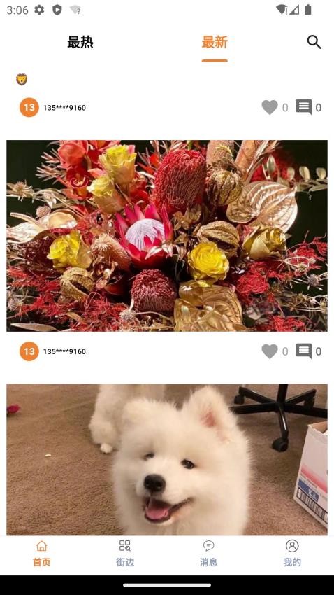 宠物街