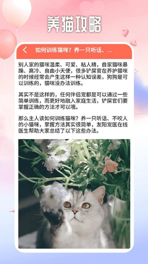 遇见你的猫咪