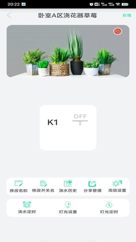 植物宝