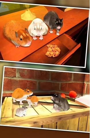 疯狂地鼠3d模拟
