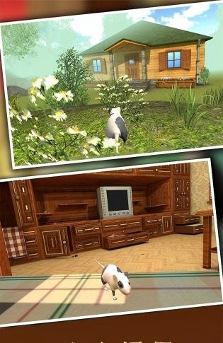 疯狂地鼠3d模拟