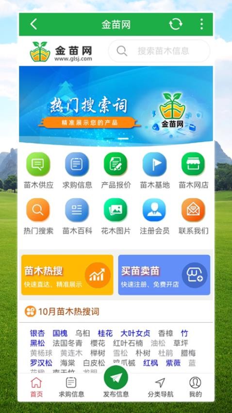 金苗网