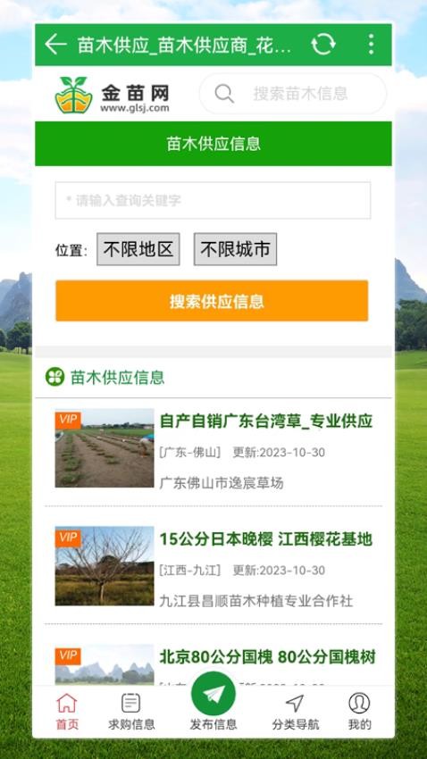 金苗网