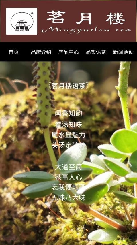 茗月楼茶业