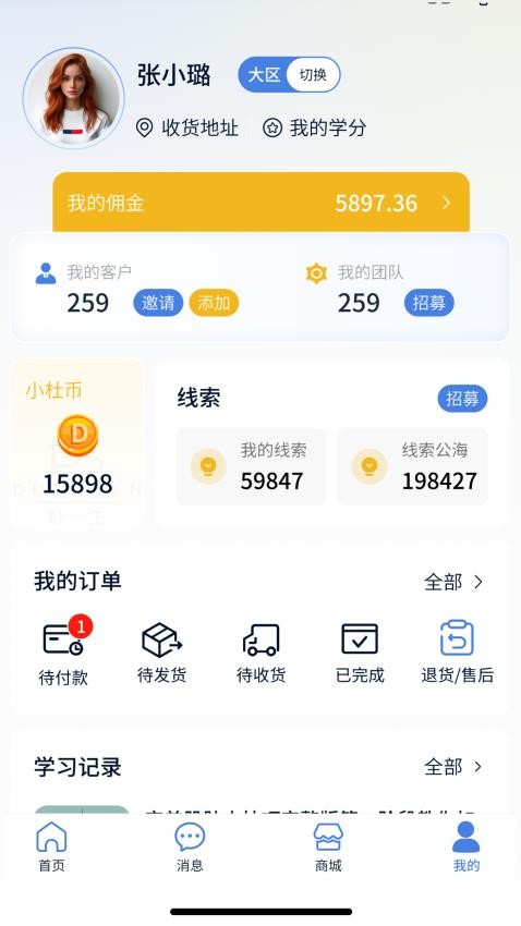 杜一生系统