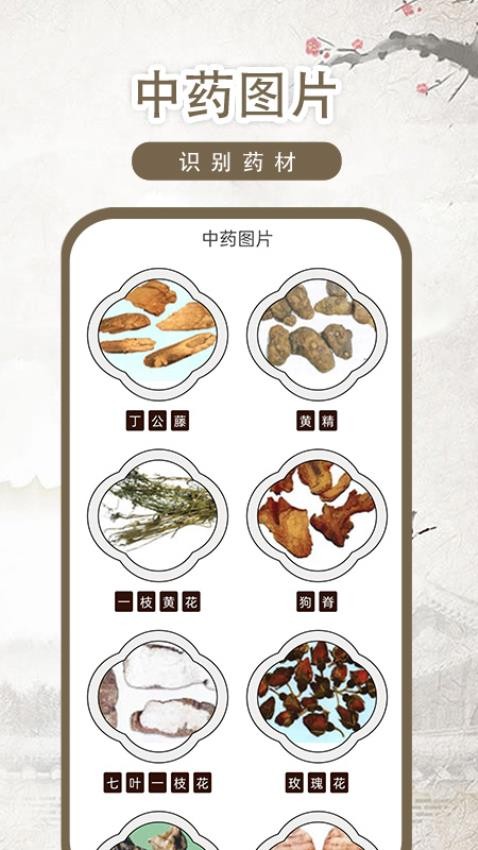 中医古籍