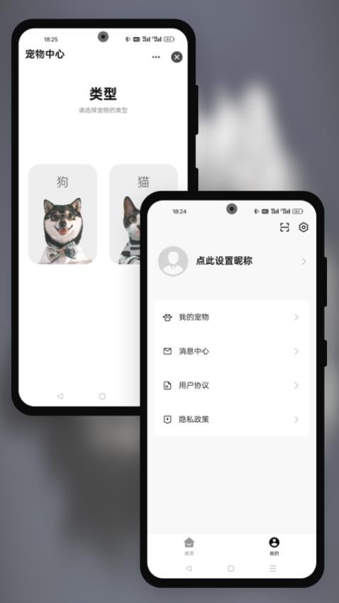 派兮宠物
