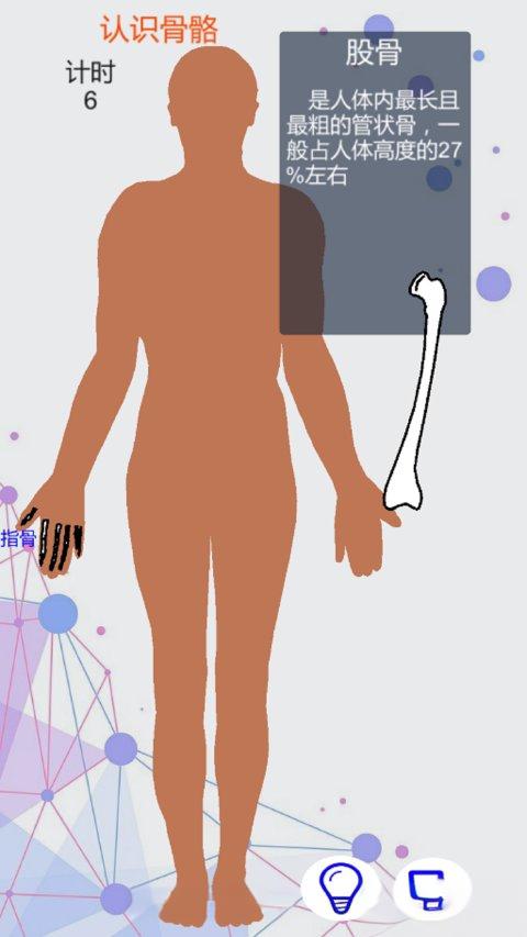 人体拼图