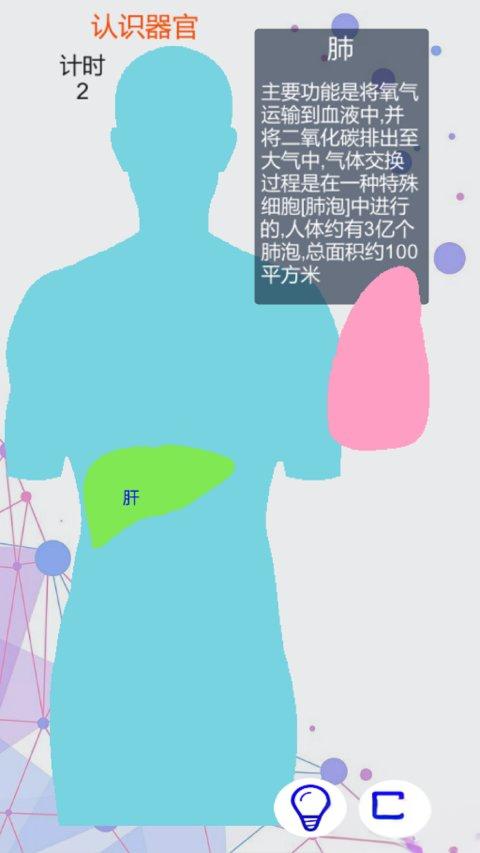 人体拼图