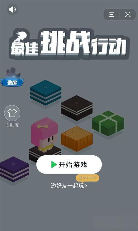 最佳挑战行动