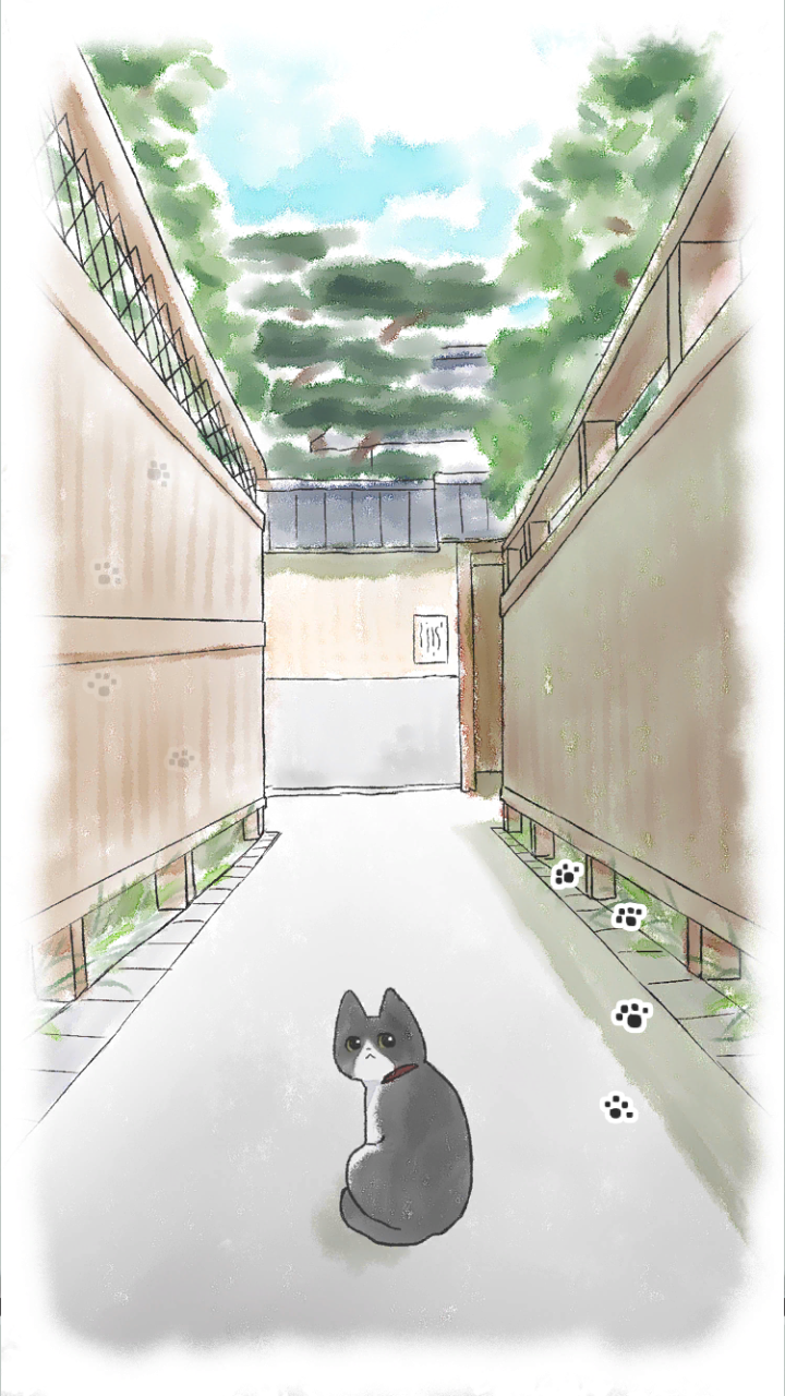 迷路的小猫逃离小胡同