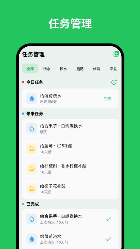 植迹