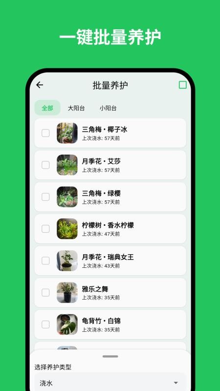 植迹