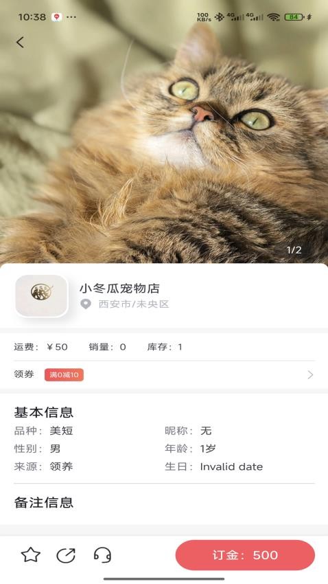 萌宠行星