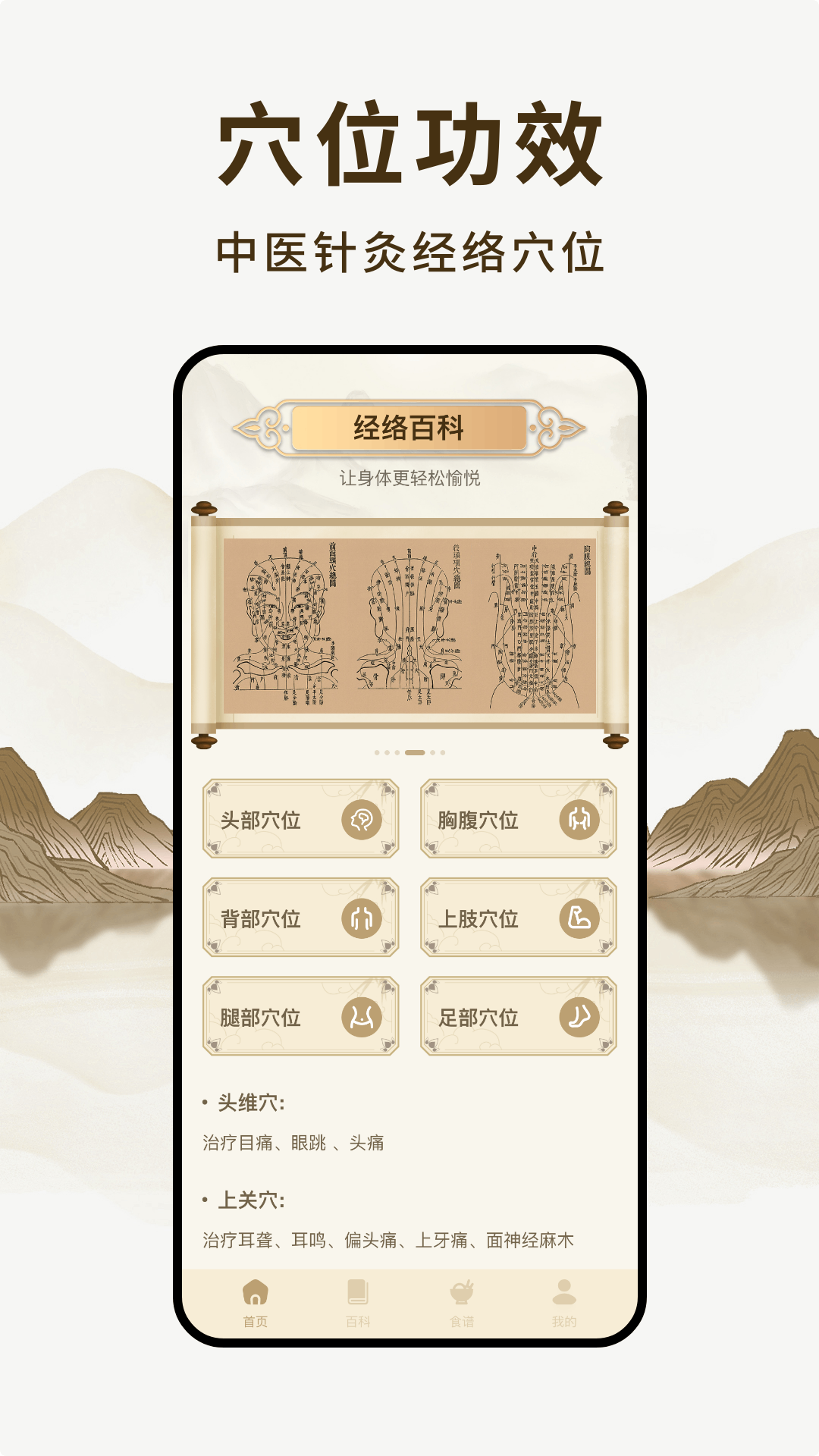 经络穴位图鉴