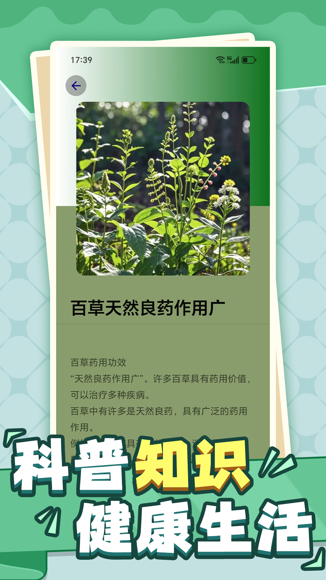 百草大师