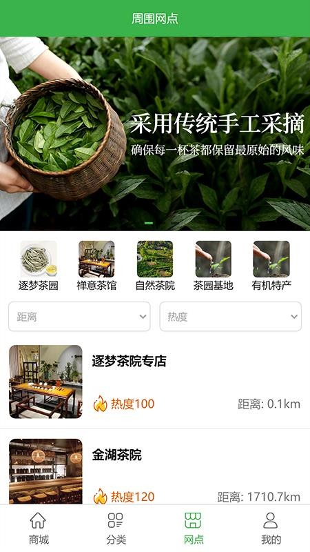 逐梦茶园