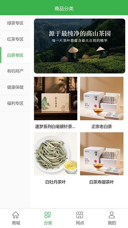 逐梦茶园